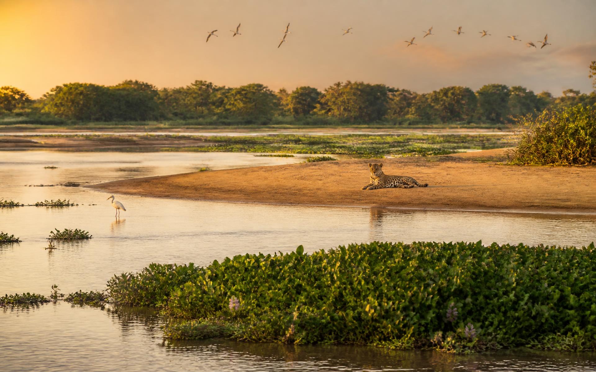 Pantanal, Brazil