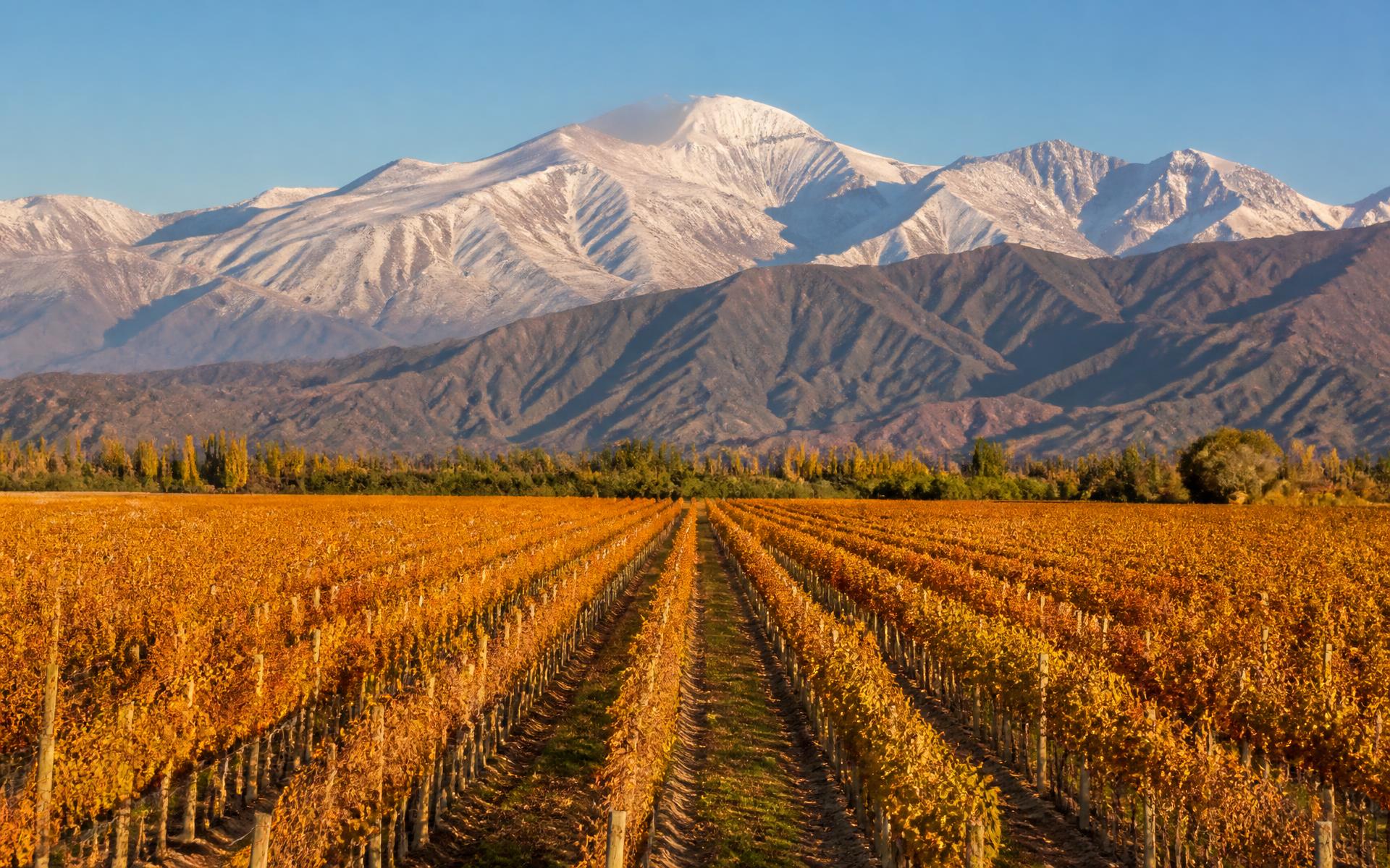 Mendoza Wine Country, Argentina