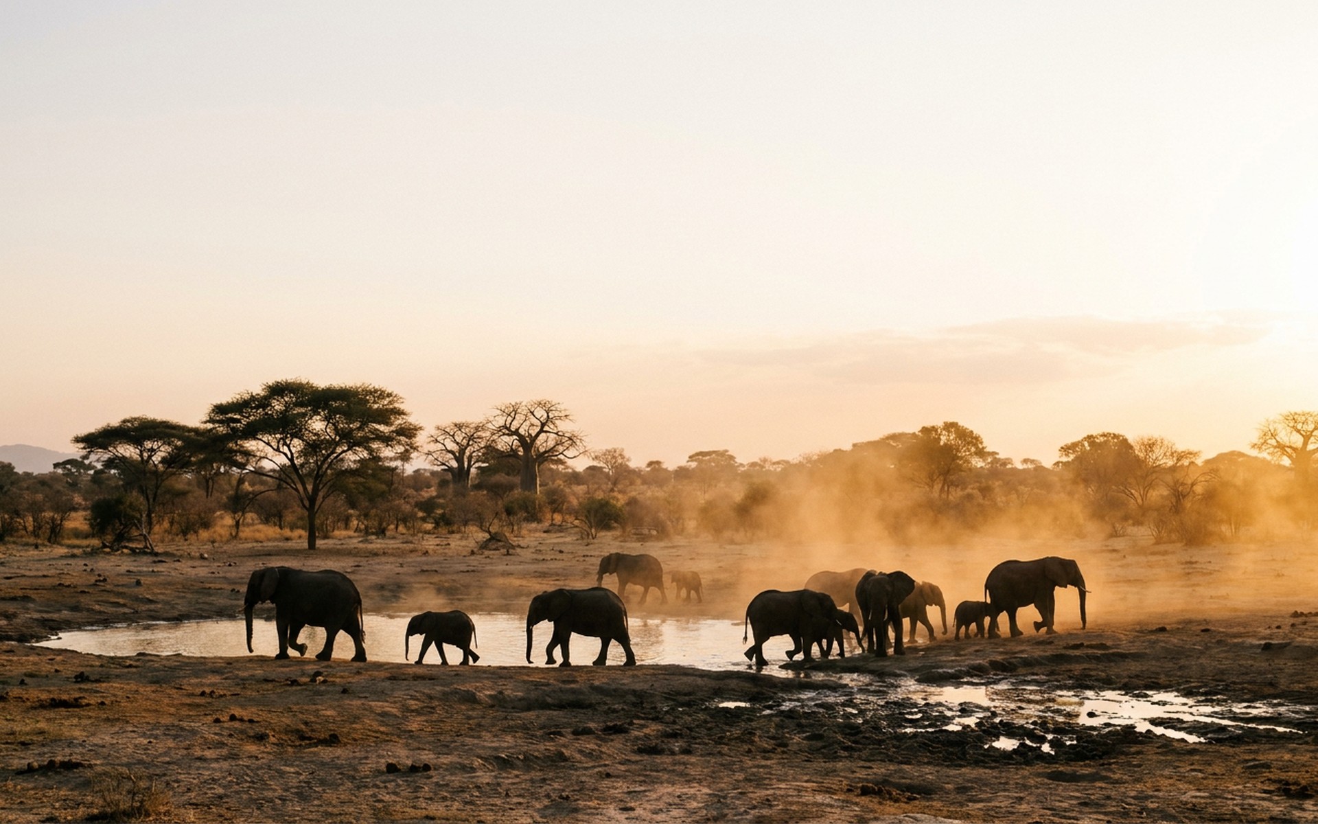 Ruaha & Southern Tanzania, Tanzania