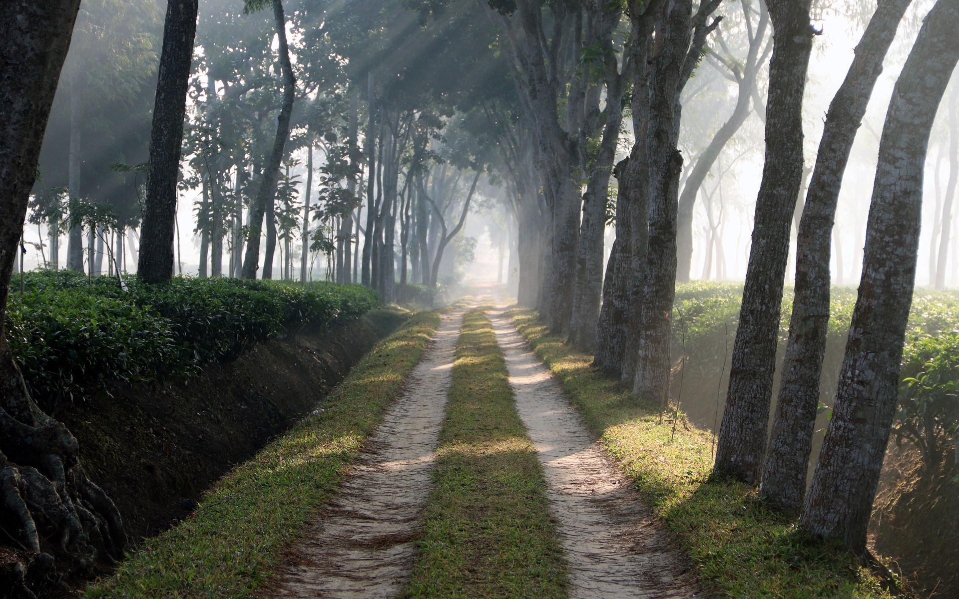 A photograph of Sylhet, Bangladesh.