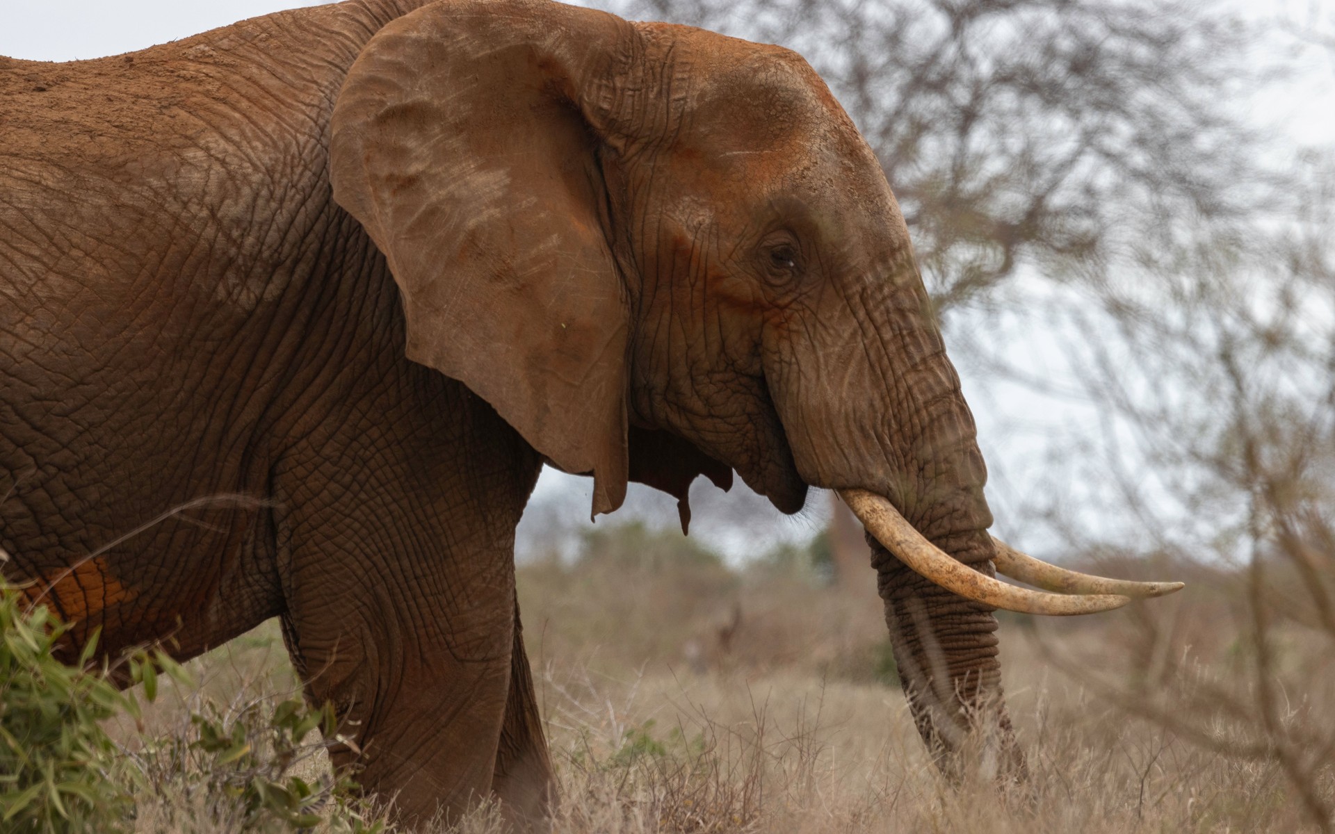 Voi, Kenya