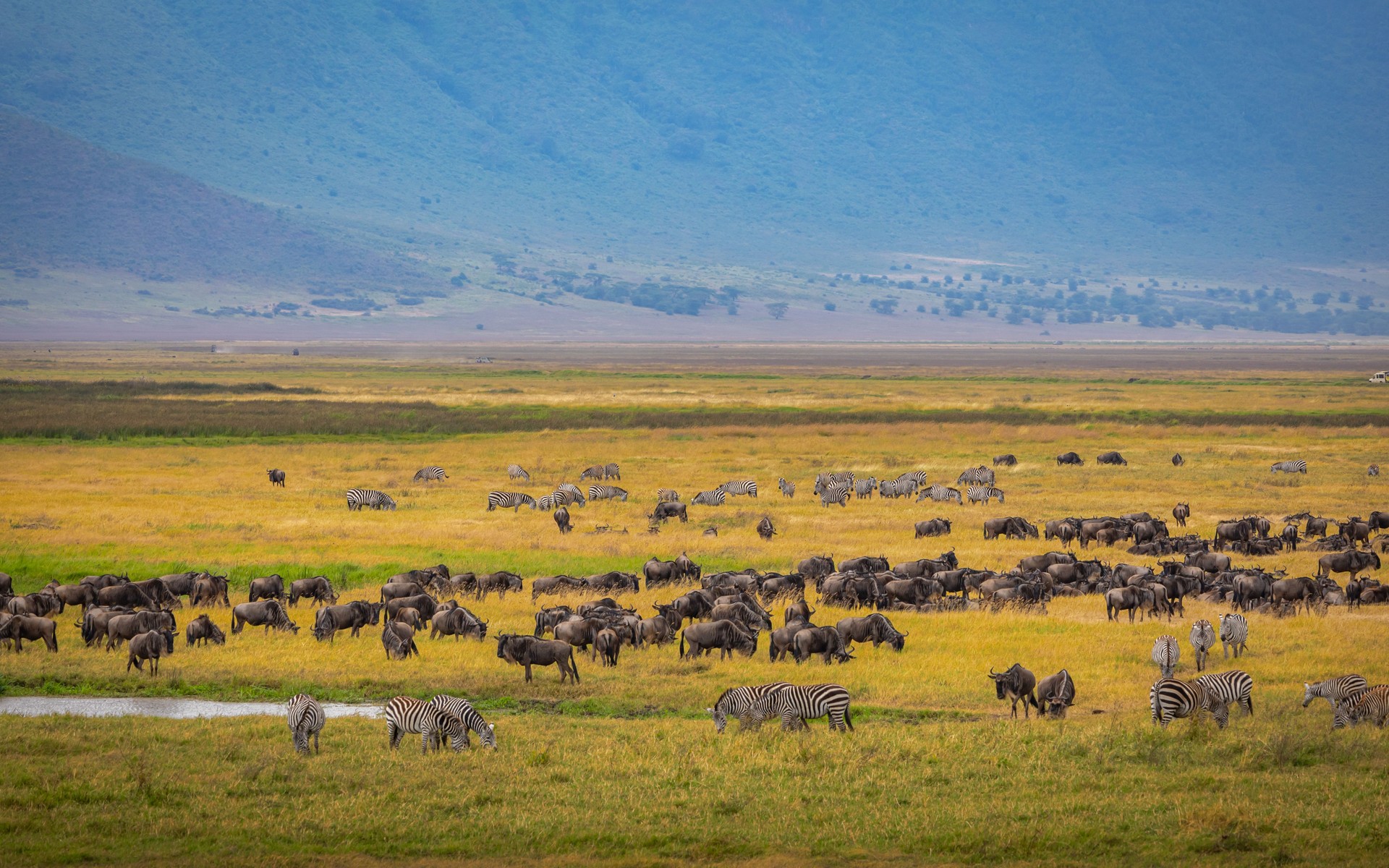 A photograph of Ngorongoro Crater, Tanzania.