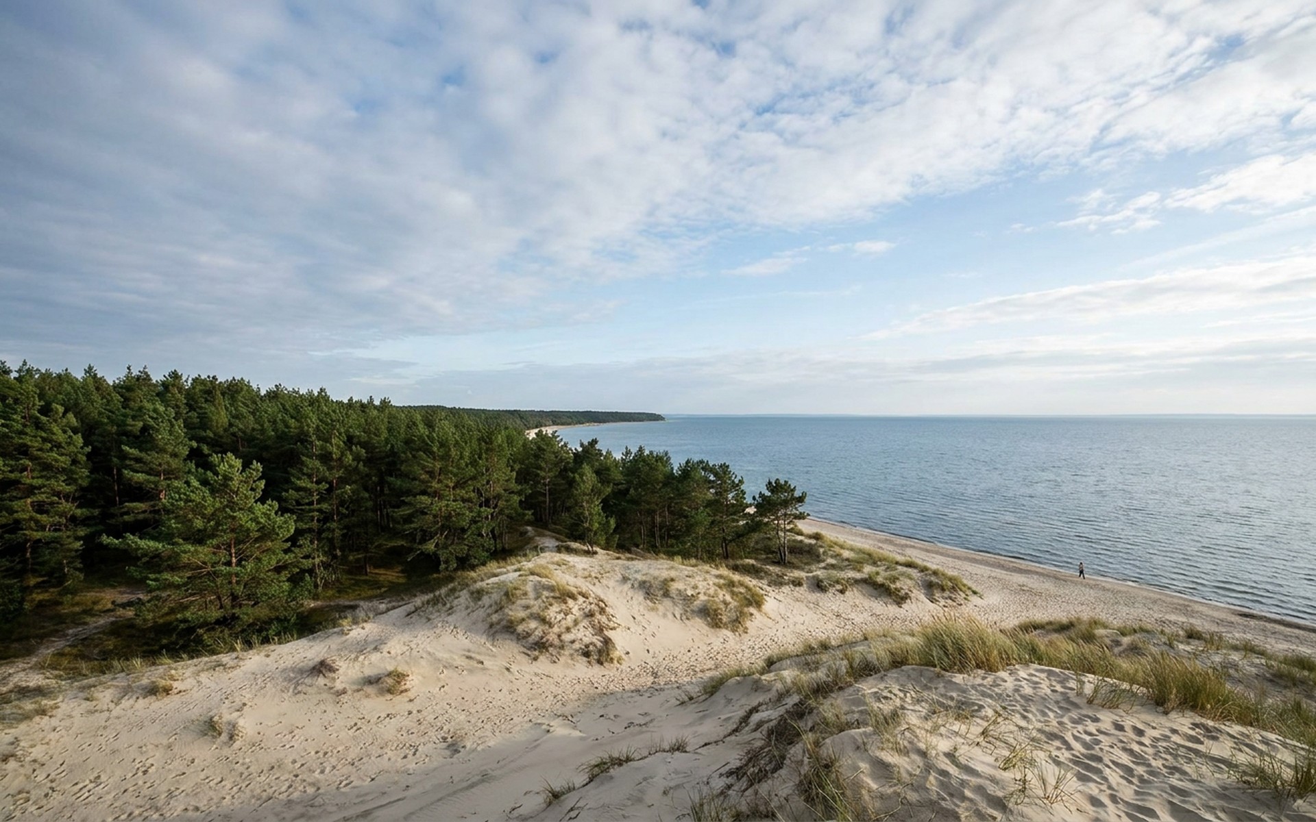 vast pale sand dunes meeting pine forest and a calm lagoon under wide northern sky at the Curonian Spit, Lithuania — original Triple VIP destination visual.