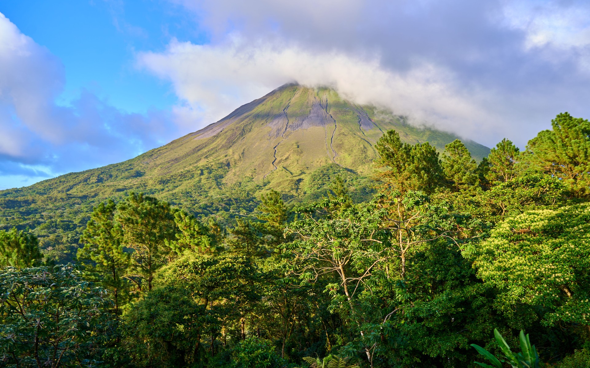 A photograph of Central Valley & Arenal Family Loop, Costa Rica.
