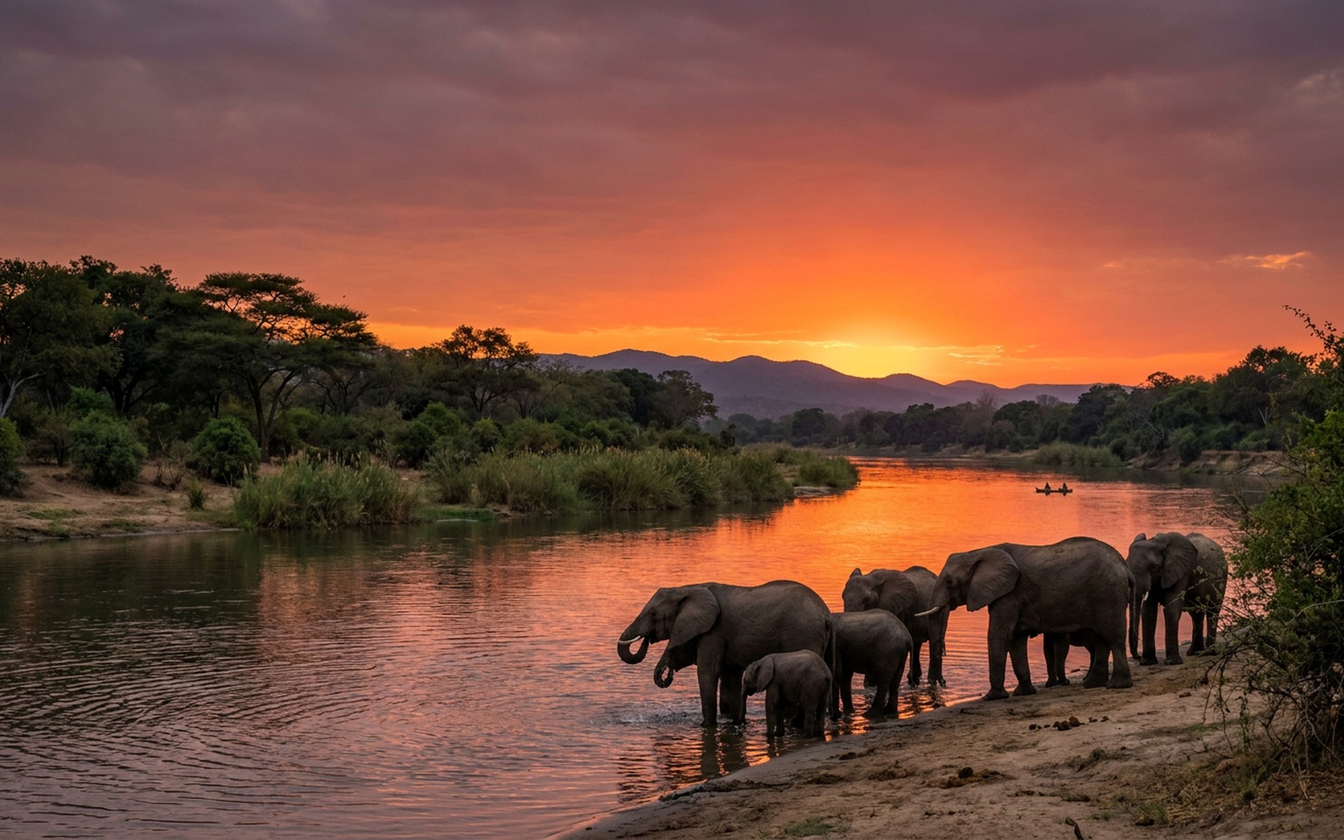 Lower Zambezi, Zambia