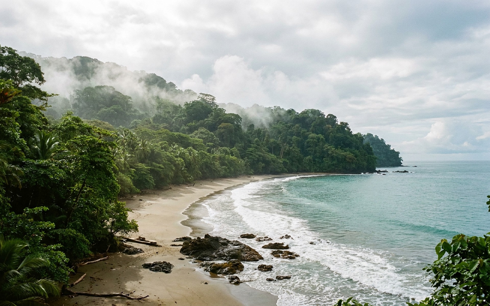 dense primary rainforest canopy running down to an empty curving beach with mist rising off the treetops after rain at the Osa Peninsula, Costa Rica — original Triple VIP destination visual.