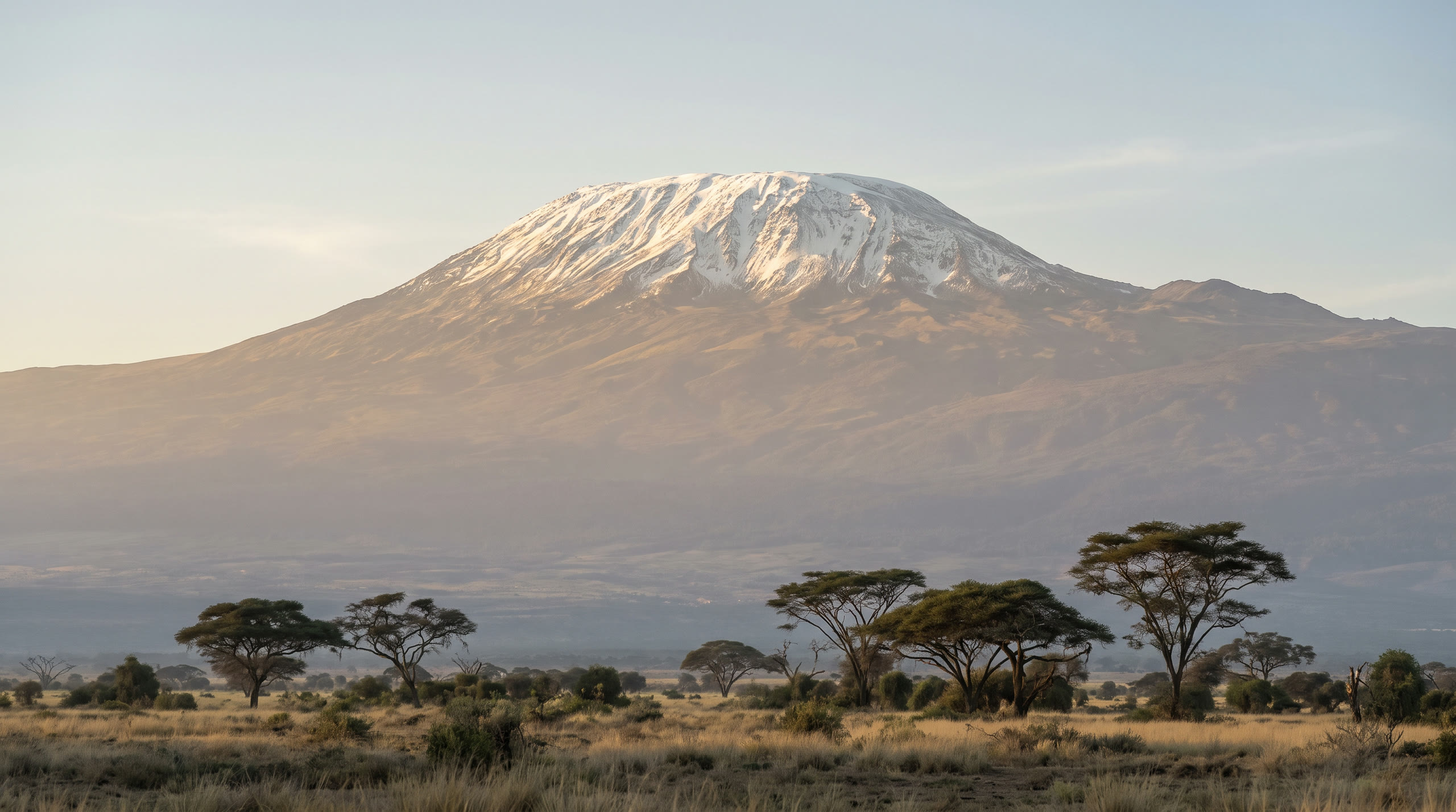 the glaciated flat-topped summit above acacia savannah at Mount Kilimanjaro, Tanzania, in first light light — original Triple VIP destination visual.