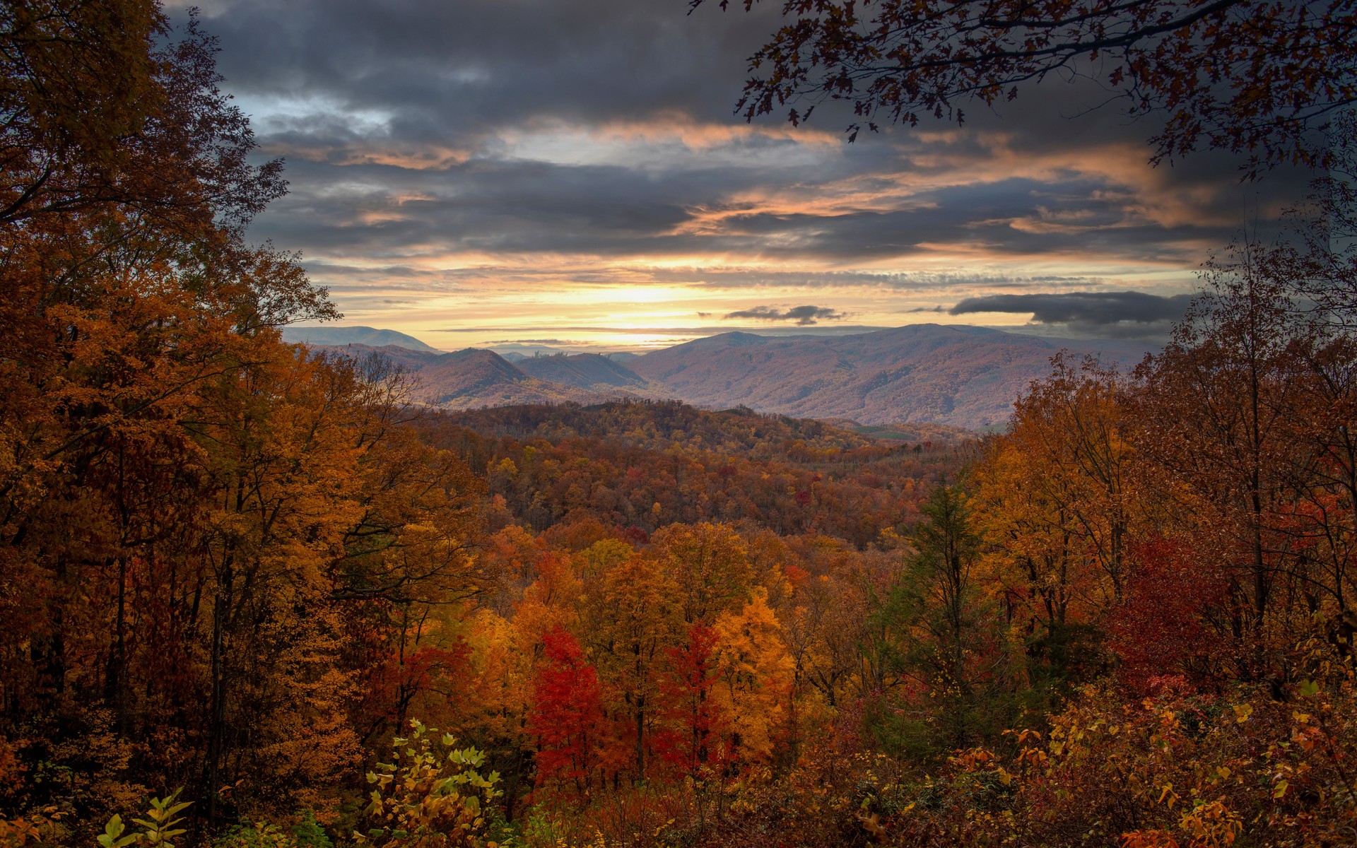 A photograph of Great Smoky Mountains, United States.