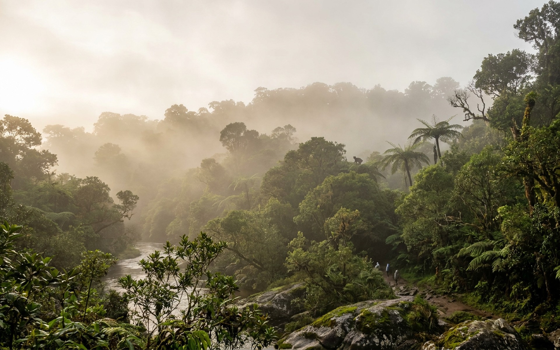 Dense, vibrant green rainforest canopy bathed in morning mist, with endemic flora and hints of wildlife, illustrating Madagascar's biodiversity. at Andasibe & Eastern Rainforest, Madagascar — original Triple VIP destination visual.