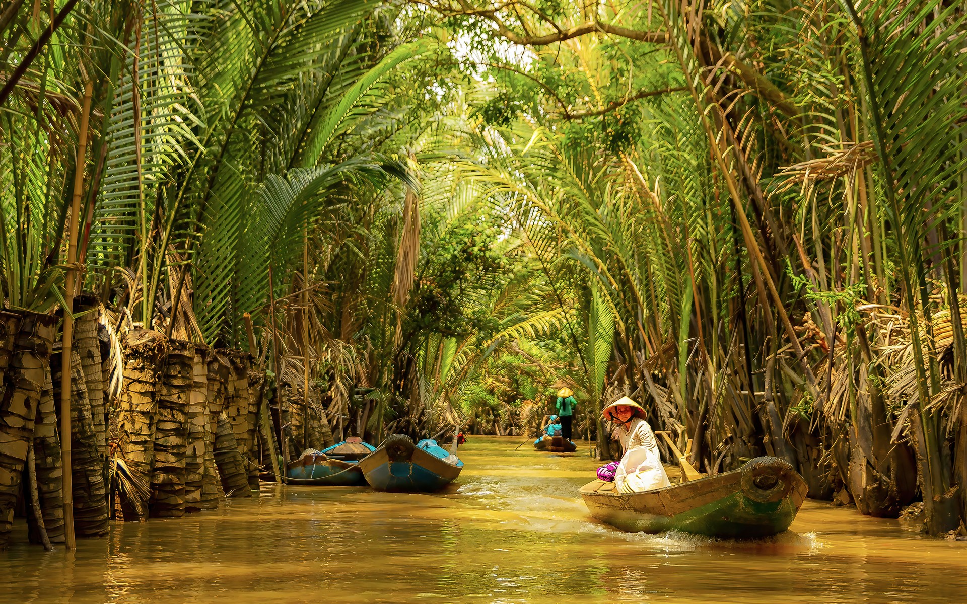 A photograph of Mekong Delta, Vietnam.