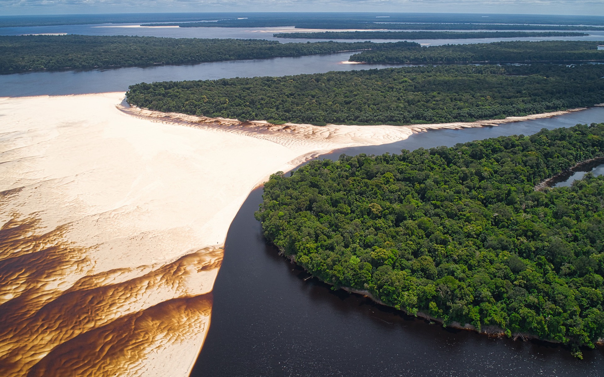 Aerial view of rainforest, sandbanks and dark river channels in the Amazon near Manaus, Brazil