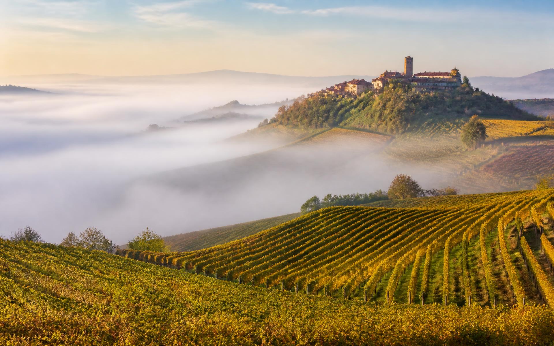 Langhe & Piedmont, Italy