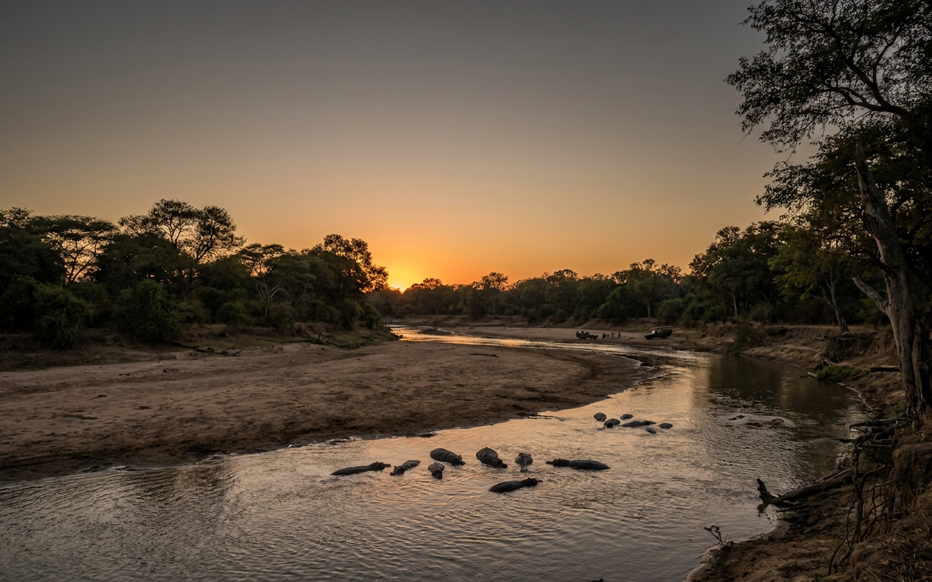 South Luangwa, Zambia