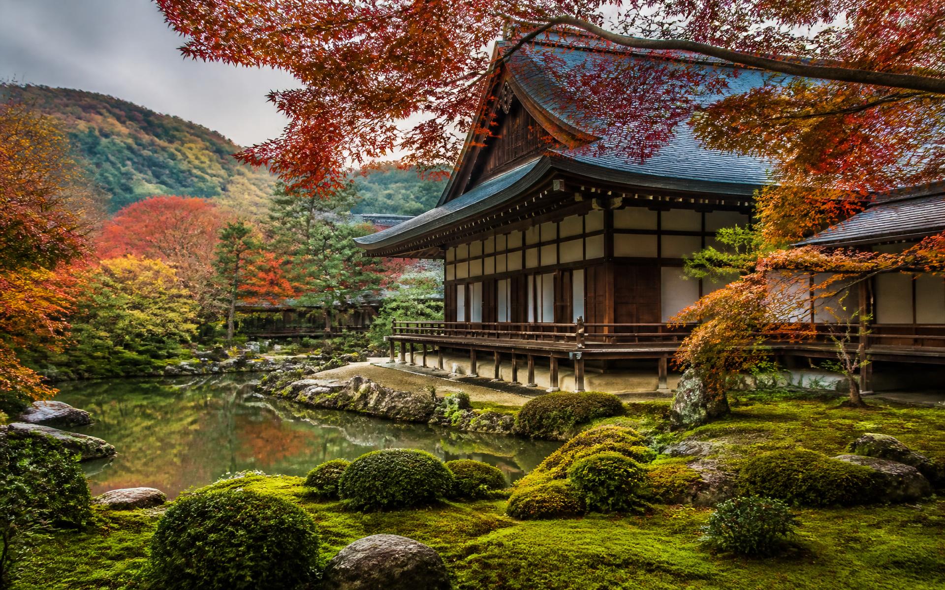 A traditional wooden temple beside a moss garden and autumn maples in Kyoto, Japan