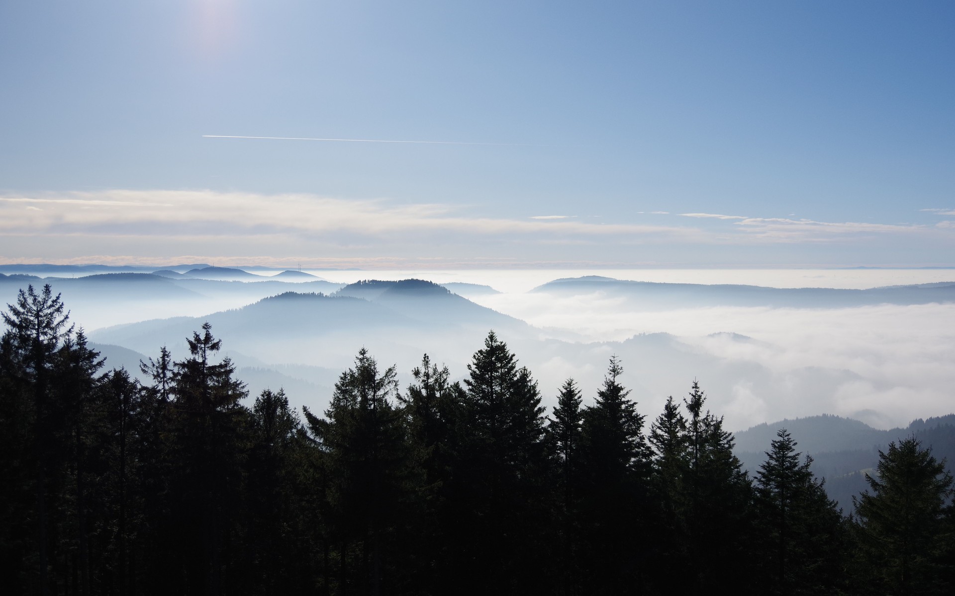 A photograph of Black Forest, Germany.