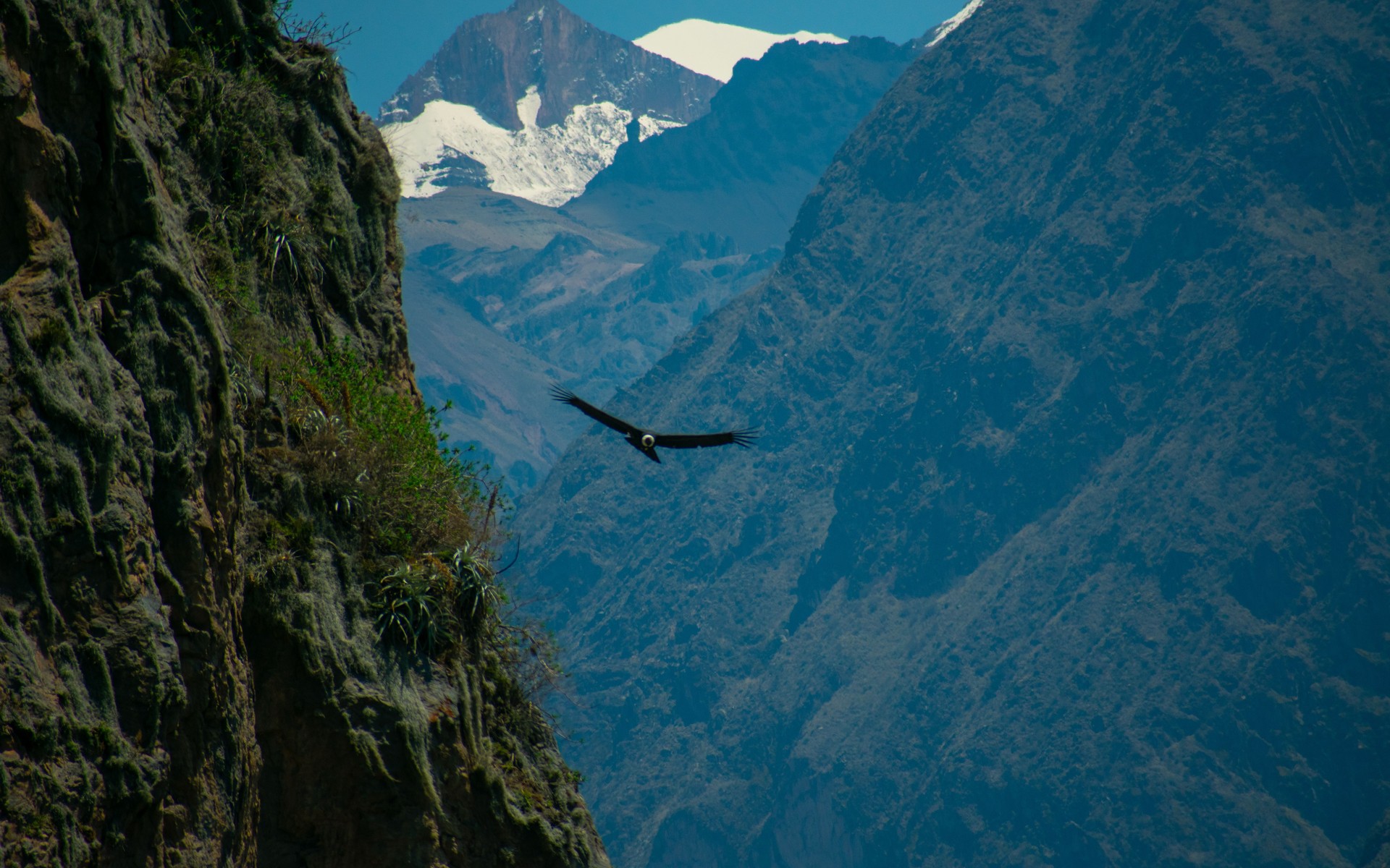 Arequipa & Colca Canyon, Peru